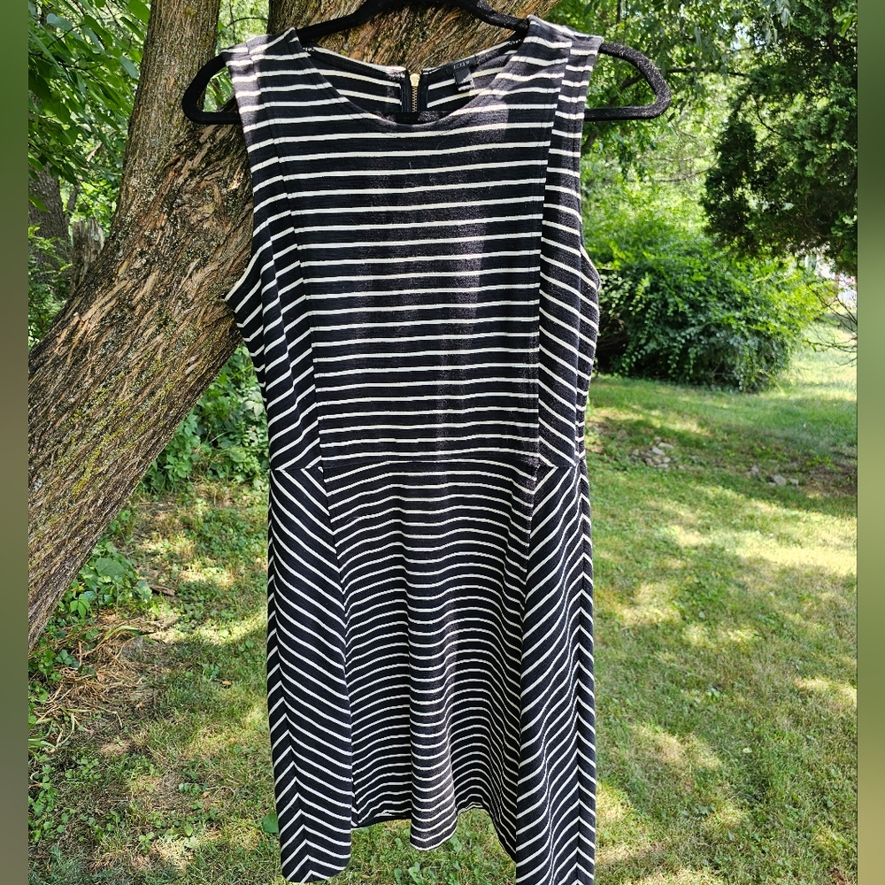 J Crew Sz 8 Back and White Stiped Fit and Flare Dress
